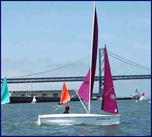purple sail boat